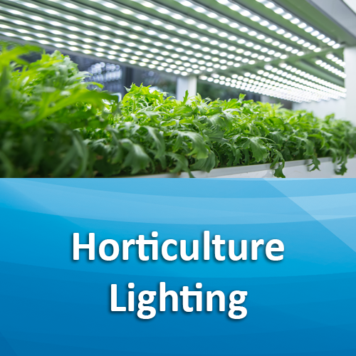 horticulture lighting