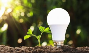 The Environmental Benefits of LED Lights