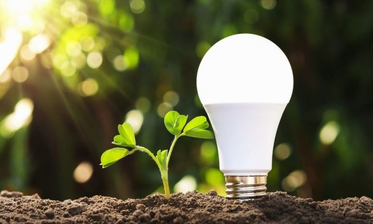 Read more about the article The Environmental Benefits of LED Lights